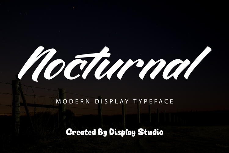 Nocturnal Font | DisplayStudio_ | FontSpace