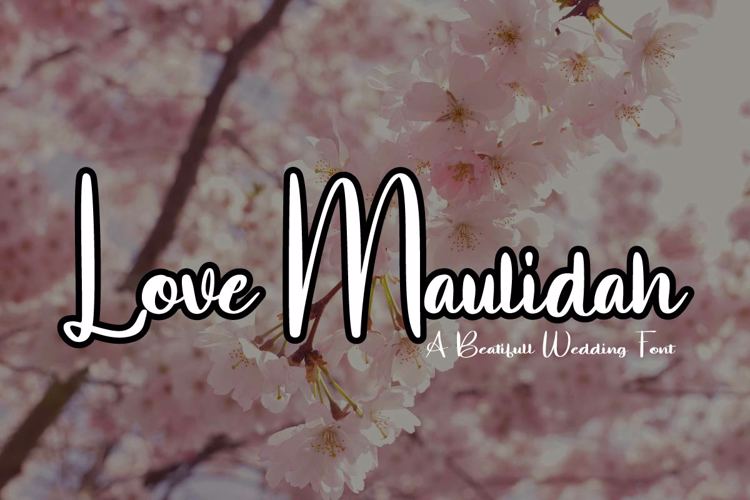 Preview of Love Maulidah Font