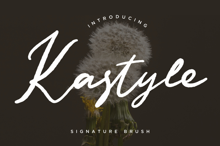 Kastyle Signature Brush Font