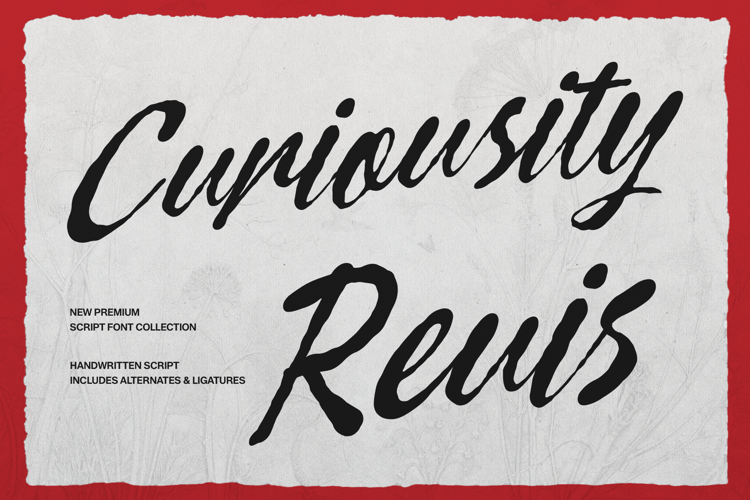 Preview of Curiousity Reuis Font