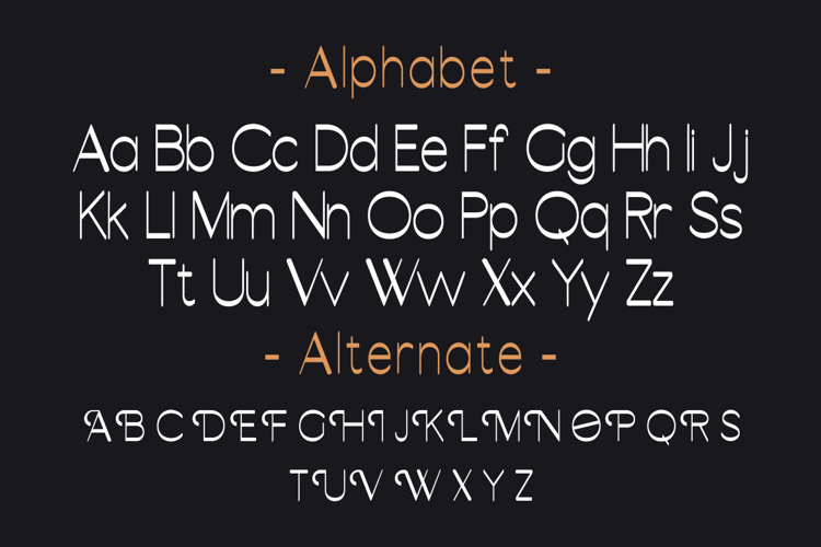 ABSORBED Font