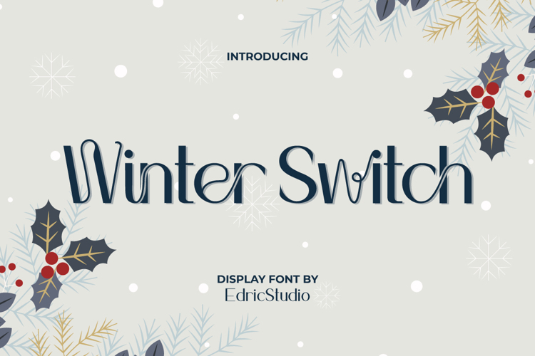 Winter Switch Font