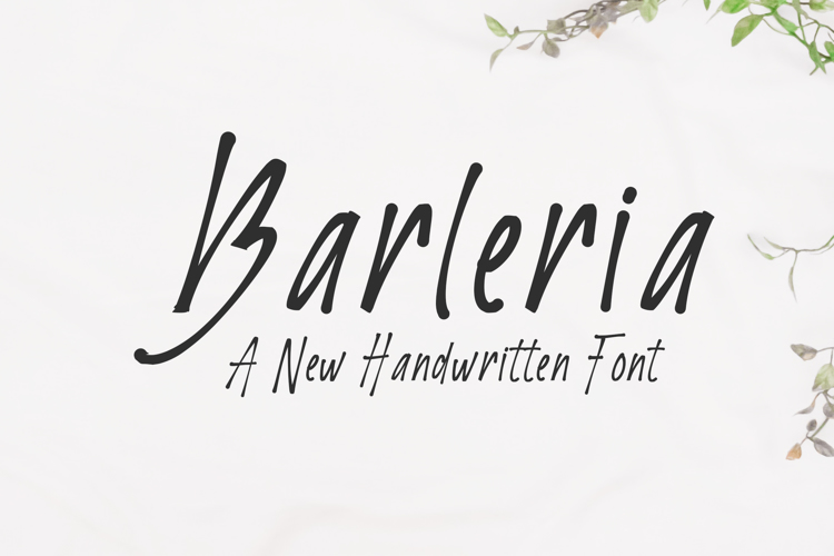 Barleria Font