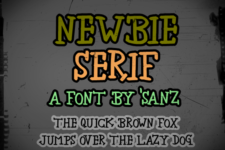 newbie serif Font