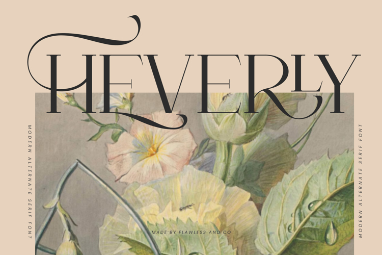 HEVERLY Font