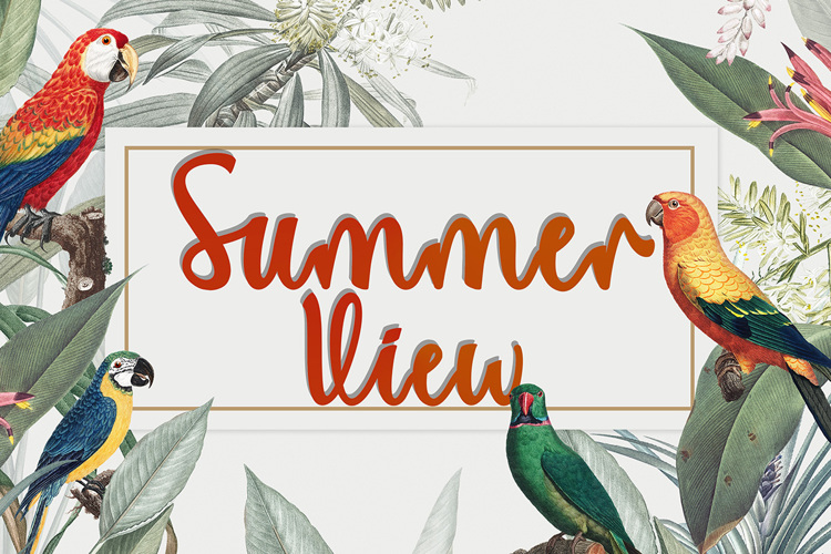 Summer View Font