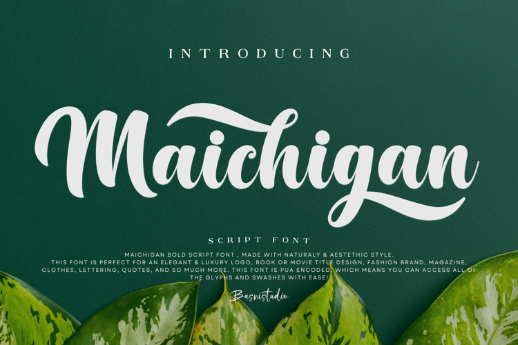 Maichigan Font