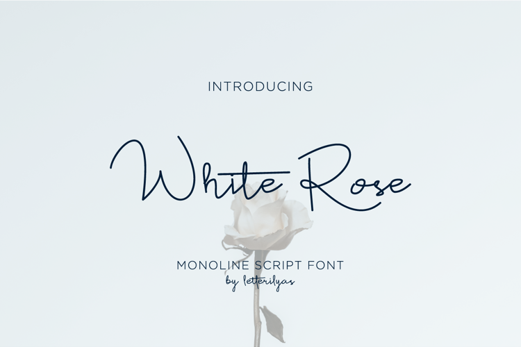 White Rose Font