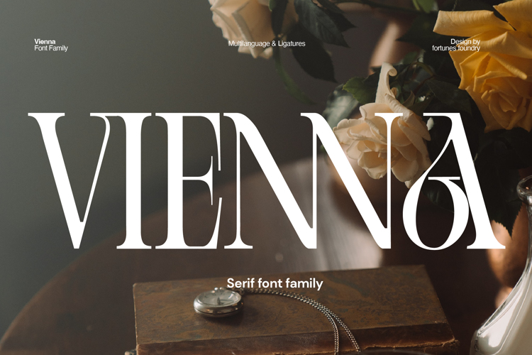 Vienna Font