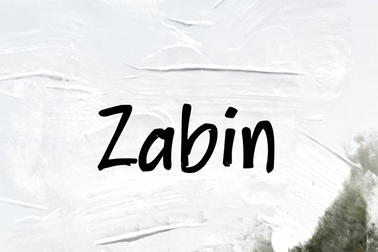 Preview of z  Zabin Font