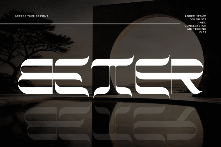 Preview of ACCESS THEMES Font