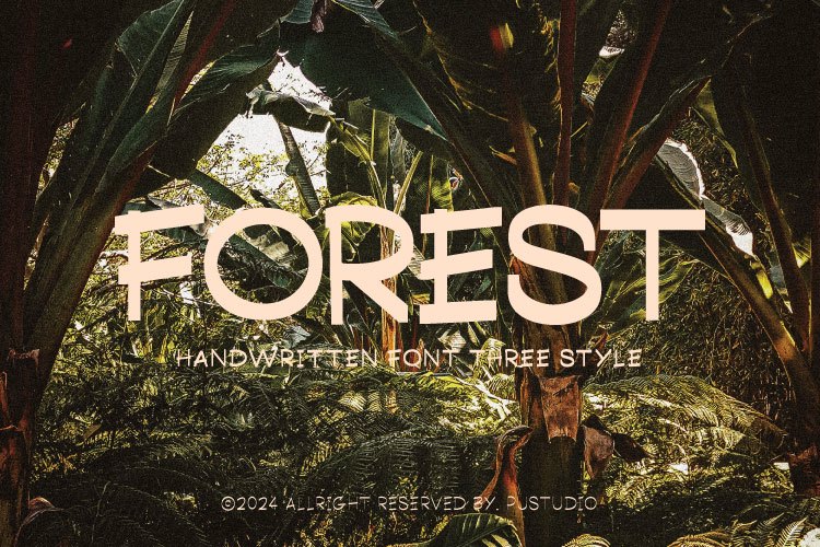 Forest Family Font