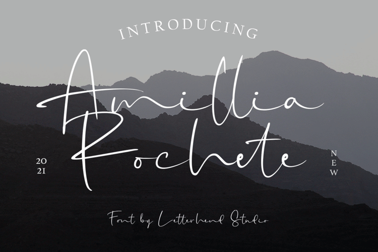 Amillia Rochete Font