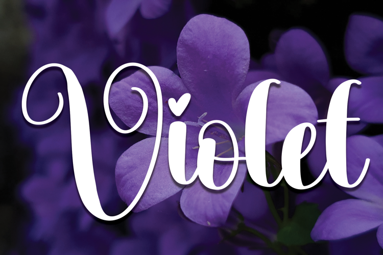 Violet Font