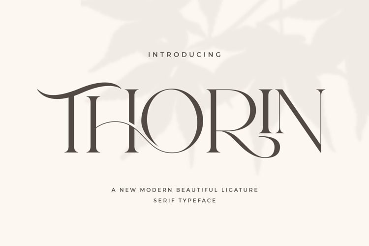 Preview of Thorin Font
