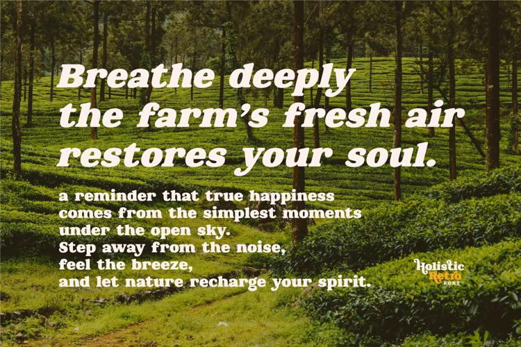 Preview of Holistic Retro Personal Font