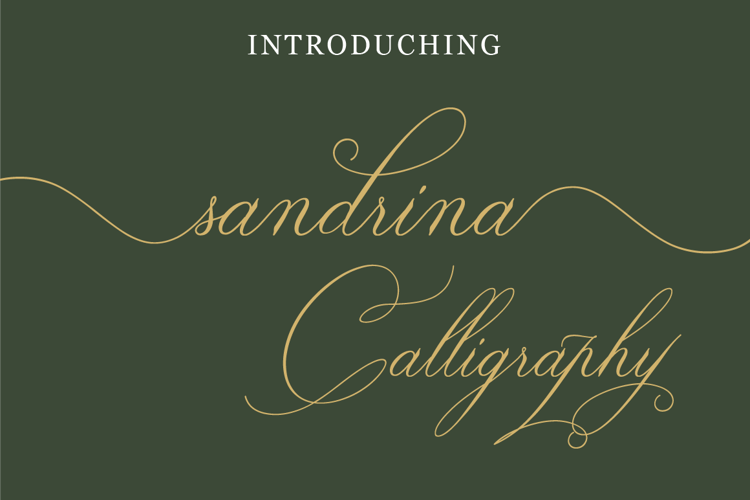 Sandrina Calligraphy Font