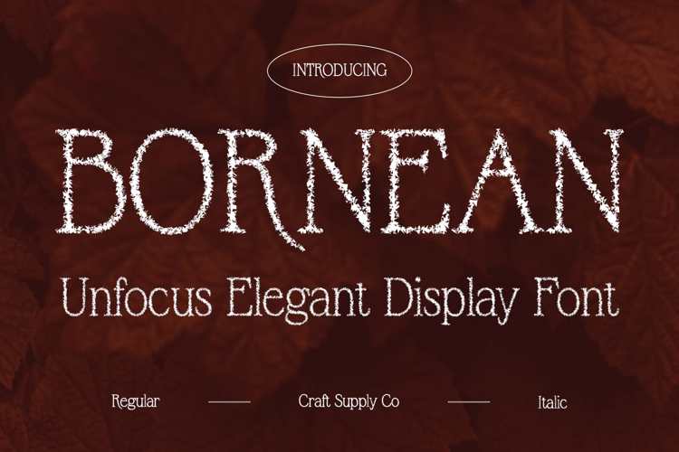 Bornean Unfocus Font