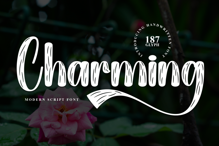 Preview of Charming Font