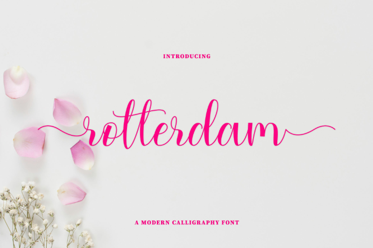 rotterdam Font
