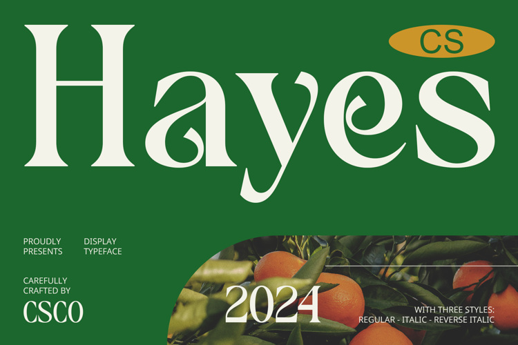 CS Hayes Font