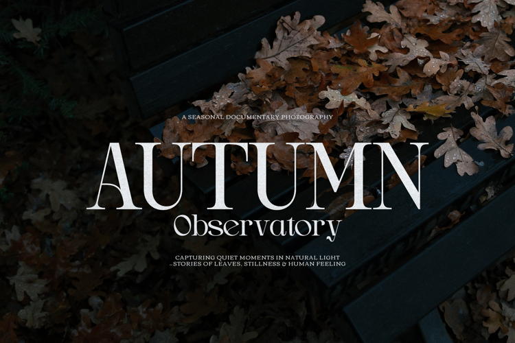 Preview of Drogel Font