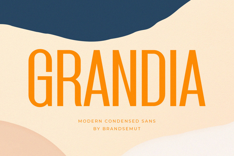 Grandia Font