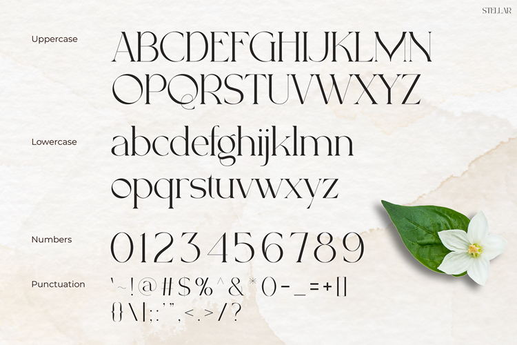 Preview of Stellar Font