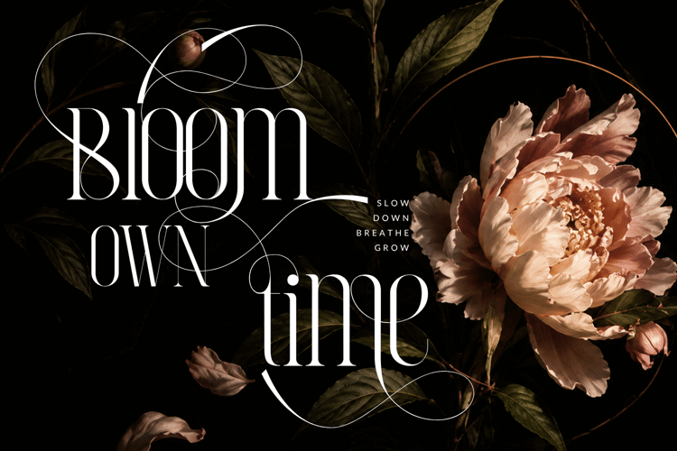 Preview of Therefore Font