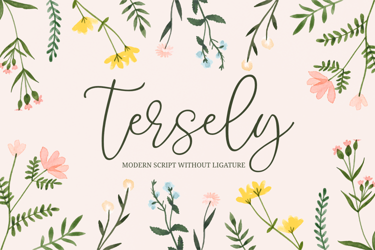 Tersely Font