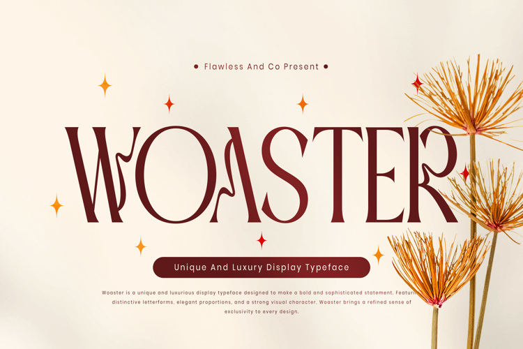 Preview of WOASTER Font
