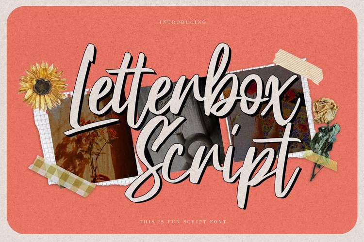 Preview of Letterbox Script Font