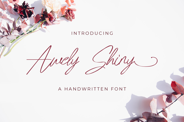 Awely Shiny Font