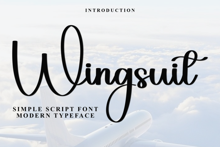 Preview of Wingsuit Font