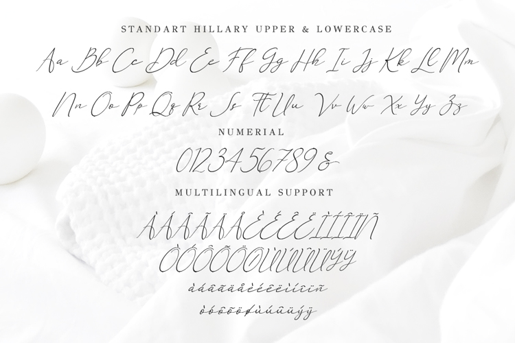 Preview of Hillary DEMO Font