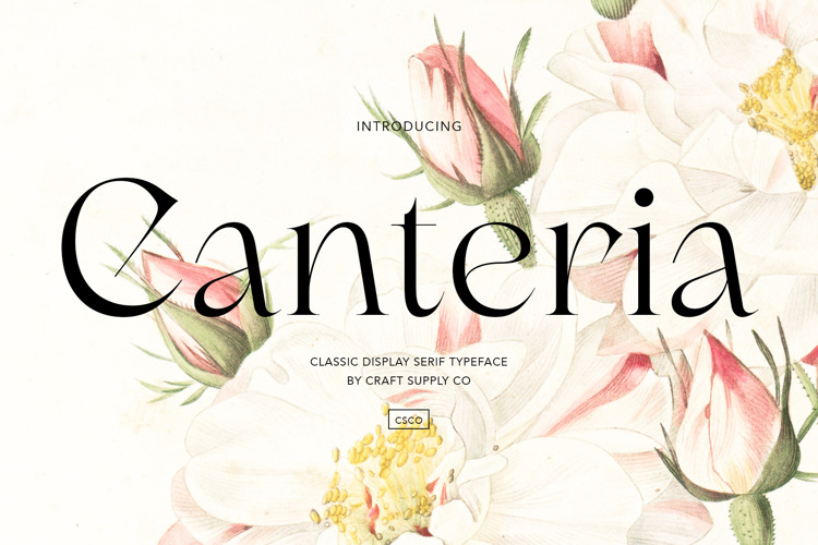 Canteria Font