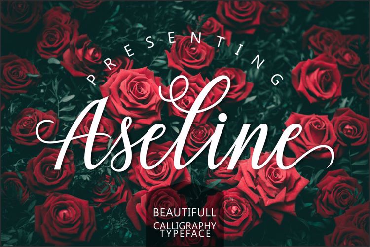 Aseline Script Font