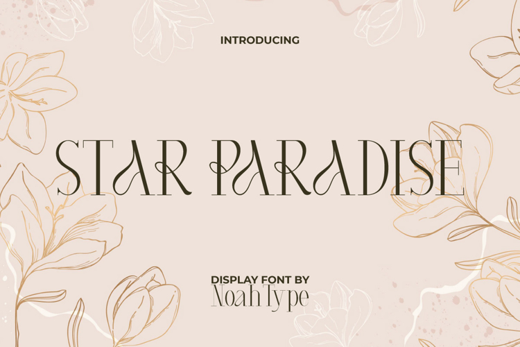 Star Paradise Font