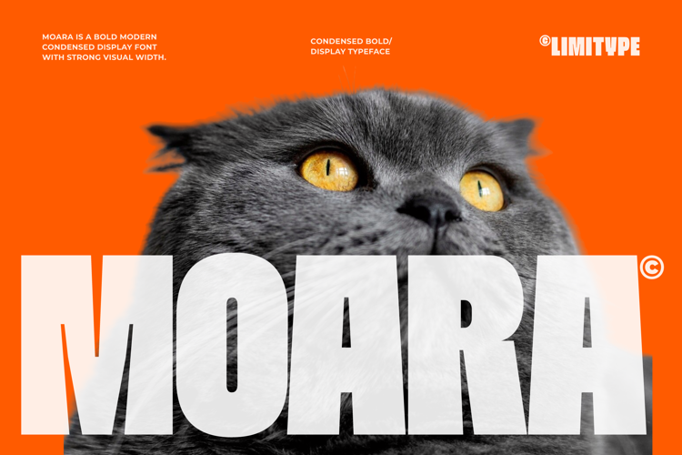 Preview of Moara - Bold Condensed Font