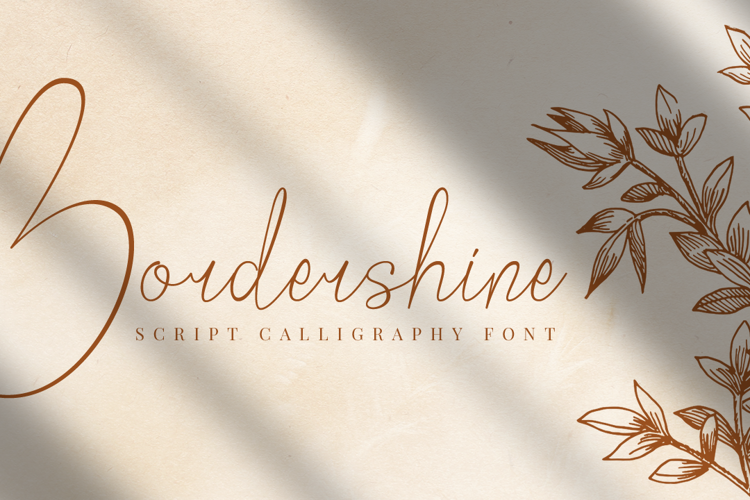Bordershine Script Font