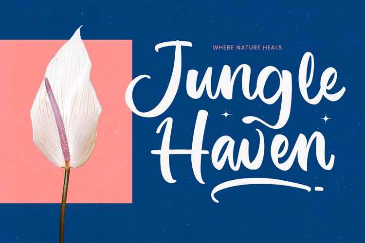 Preview of Imagine Sunday VERSION Font