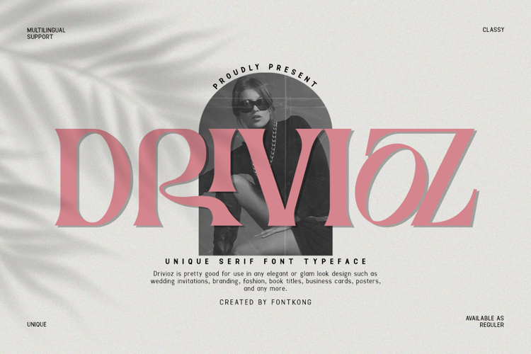 Drivioz Font