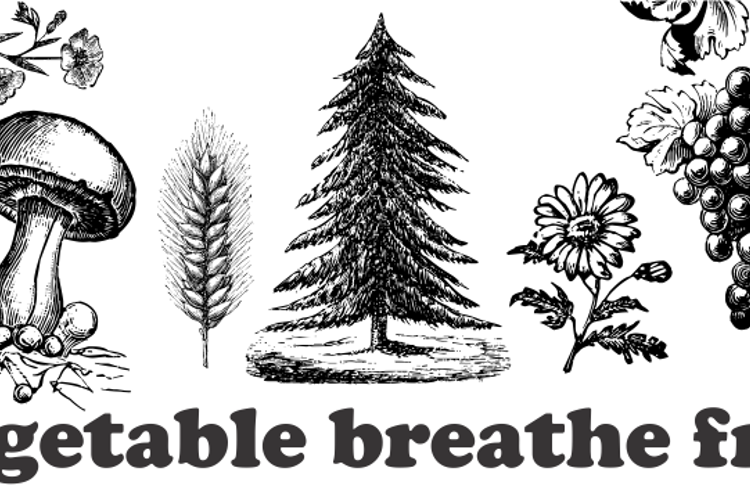 Vegetable Breathe Free Font