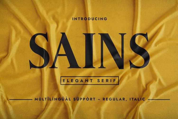 Preview of SAINS Font