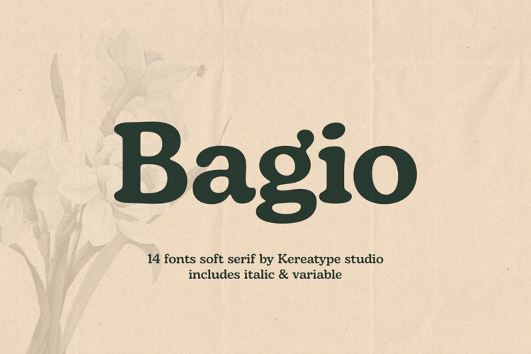 Preview of Bagio Font