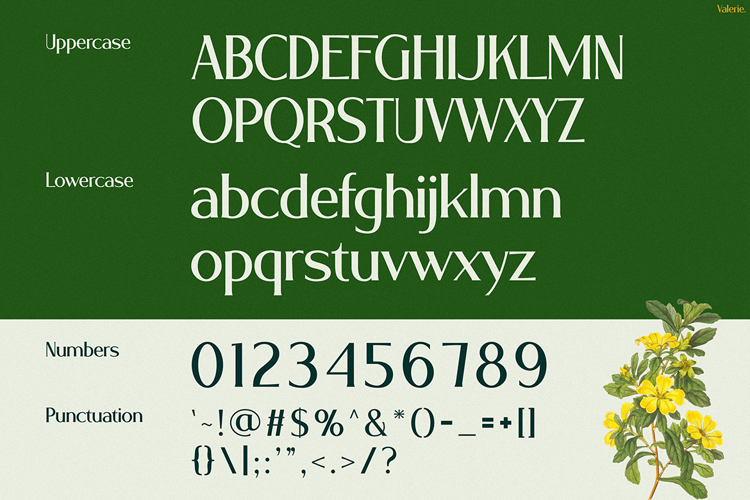 Preview of VALERIE Font