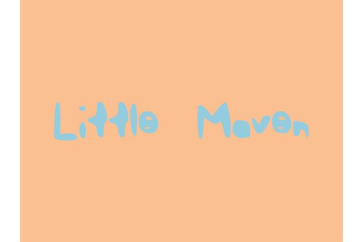 LittleMaven Font