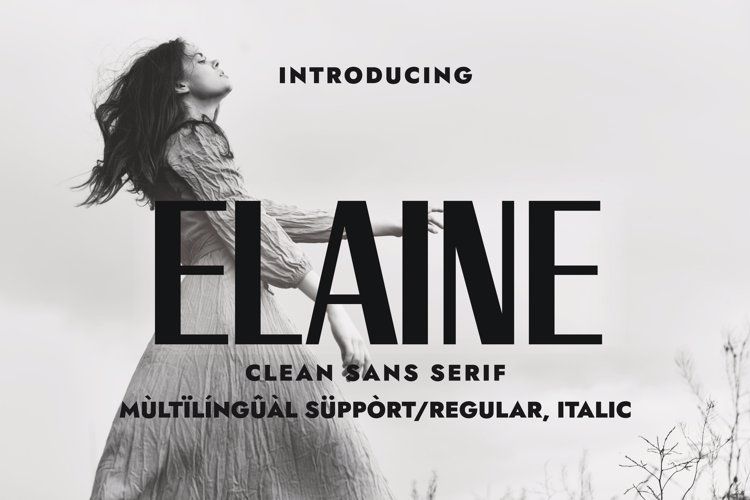 Preview of ELAINE Font