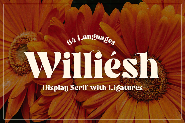 Williesh Font
