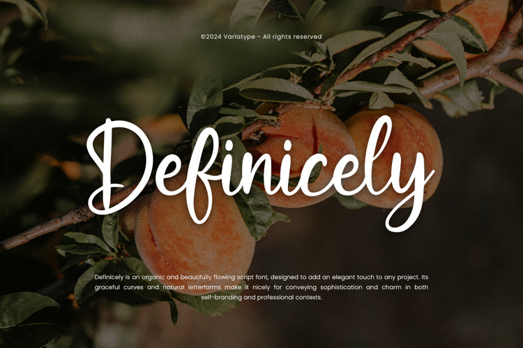 Preview of Definicely Font